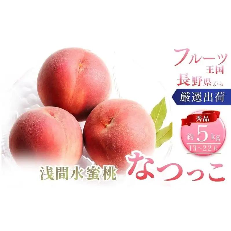 【2026年8月中旬～発送予定】 桃 先行予約 浅間水蜜桃 なつっこ 約5kg 秀品 13～22玉 贈答品 フルーツ 果物 白桃 甘い 冷蔵