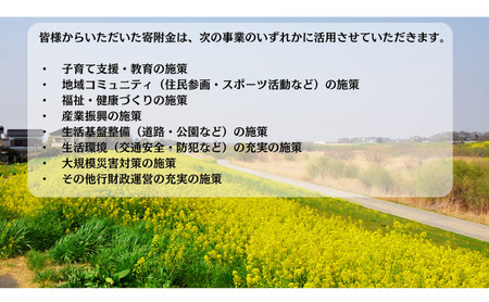 【返礼品なし】埼玉県松伏町への応援寄付3,000円