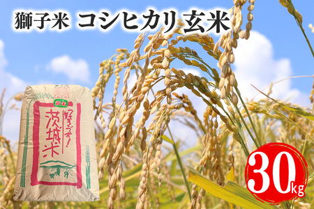 先行予約【令和8年産】獅子米 コシヒカリ（玄米）30kg B02-094