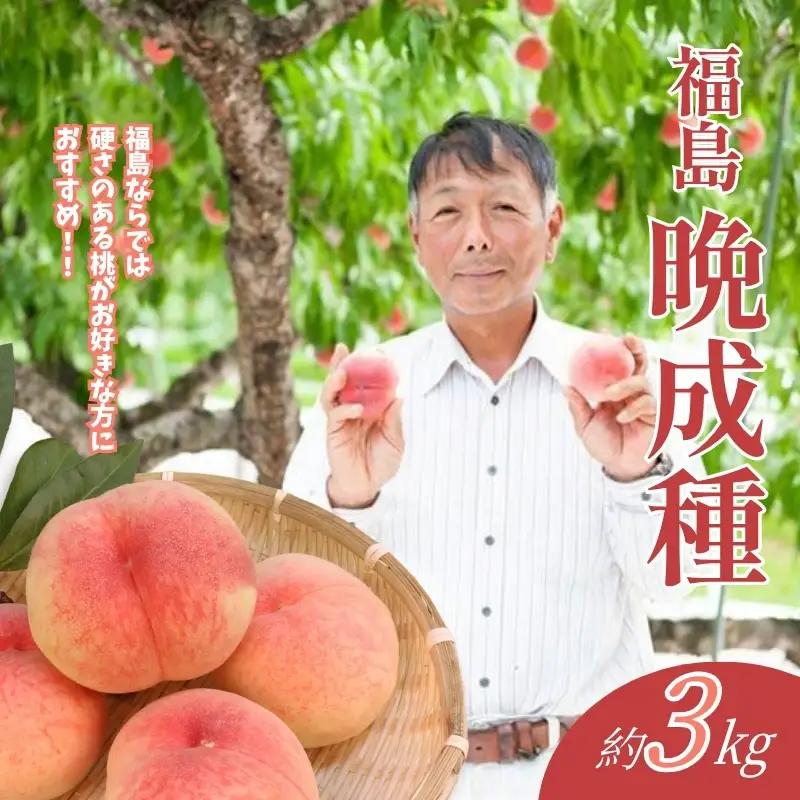 No.2408福島 桃　晩成種約3kg【2026年発送】