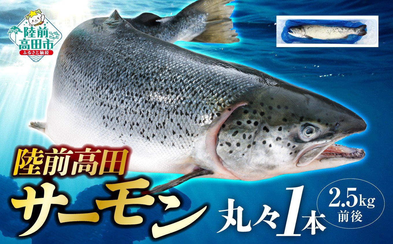 
            【予約受付　令和8年発送】陸前高田サーモン丸々１本（2.5kg前後）
          