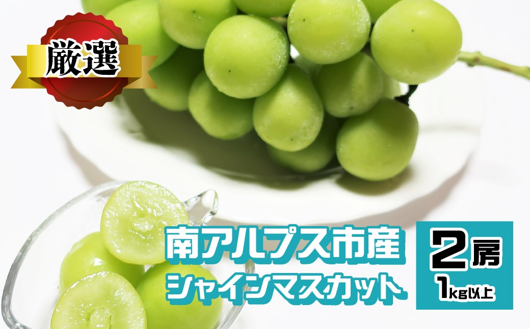 
                  ＜2026年発送先行予約＞南アルプス市産 シャインマスカット 1.0kg以上　（約500×2房） ALPEV003　山梨 山梨県 ぶどう 葡萄 ブドウ マスカット 種なし フルーツ くだもの 果物 高級 新鮮 産地直送 贈答 ギフト 家庭用 2026年  南アルプス市
                