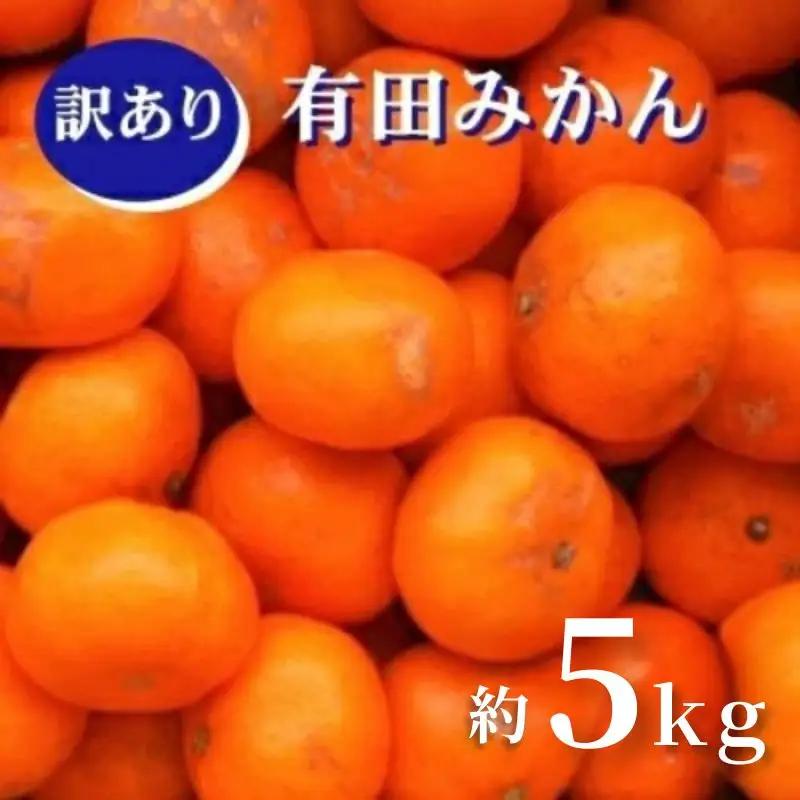 紀州有田みかん 約５kg　訳あり　キズ　御家庭用　サイズ混合　※2026年11月24日より順次発送予定※北海道・沖縄・離島配送不可 / みかん ミカン 果物 くだもの フルーツ 柑橘 和歌山【sml130A】 
