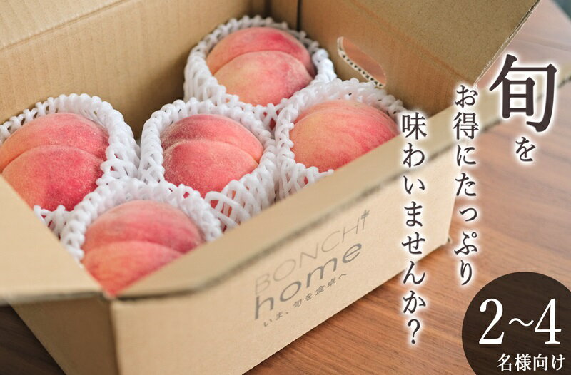【ふるさと納税】 もも 訳あり 約1.5kg 果物 フルーツ 桃 果実 くだもの 2025年発送 甲州市産 甘い 産地直送 数量限定 期間限定 6月 7月 8月 発送 贈答 ギフト 家庭用 わけあり 自然農法 山梨 甲州市 （BNC） 【B-445】