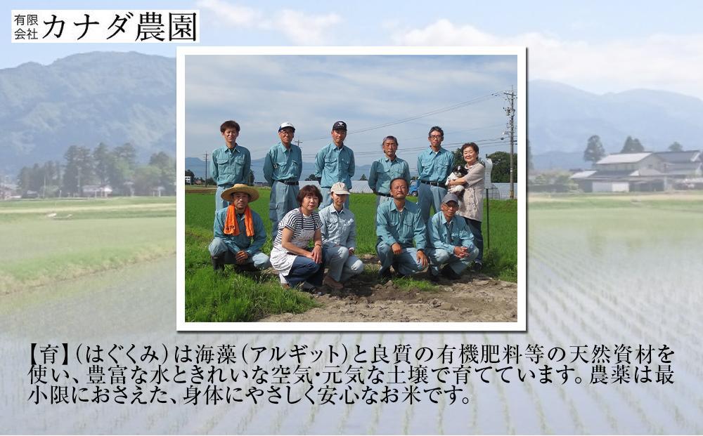 【令和6年産】富山県産こしひかり　育（はぐくみ）玄米　5キロ×２個セット《南砺の逸品》