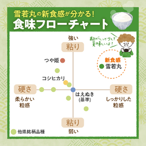 【令和6年産米】2025年5月上旬発送 雪若丸5kg 山形県産 【JAさがえ西村山】