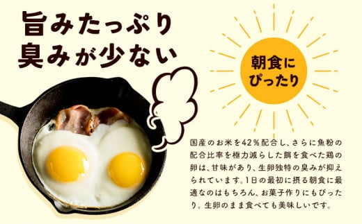 【1-12-38】こだわりの平飼いたまご食べ比べセット