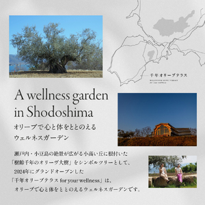 【 小豆島 】千年オリーブテラス for your wellness オリーブオイルテイスティング 講座 （入園つき） ペアチケット 旅行 旅 オリーブオイル 体験 体験チケット オリーブテラス ペア