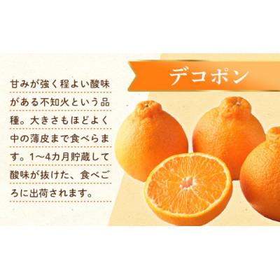 ふるさと納税 琴平町 【発送月固定定期便】香川県・三豊市共通返礼品　フルーツ旬の果物　Fセット全3回 |  | 02