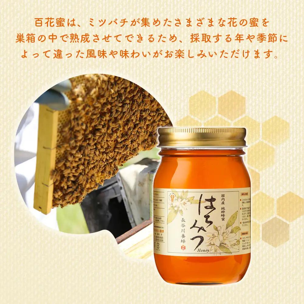 はちみつ 百花蜜 500g 2本 長谷川養蜂 | はちみつ 国産 無添加 蜂蜜 三重県 伊勢 志摩