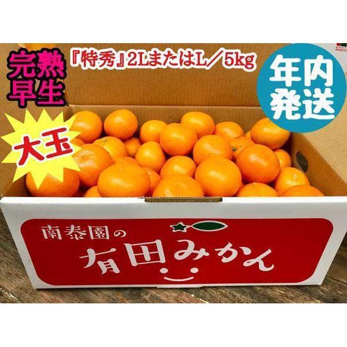 【ふるさと納税】年内発送 完熟早生 有田みかん 大玉 特秀 2L または L サイズ 5kg 和歌山 南泰園 みかん