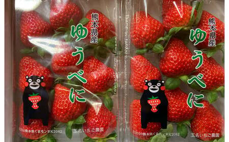 熊本県産 いちご （ゆうべに）2パック 約500g 苺 ゆうべに 【2026年1月上旬発送開始】