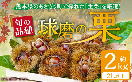 熊本県ＪＡくま産 球磨の栗 2kg（2L以上 旬な品種) お届け時期：2025年8月下旬～10月上旬