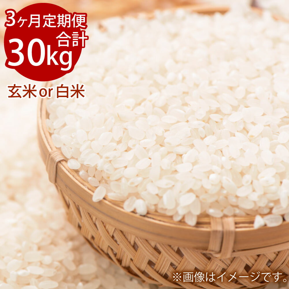 【ふるさと納税】【3ヵ月定期便】岡山県産 きぬむすめ 玄米 または 白米 選べる 種類 1回あたり10kg 計30kg 米 お米 コメ おこめ 定期便 3回 岡山《2025年10月より1回目発送開始》