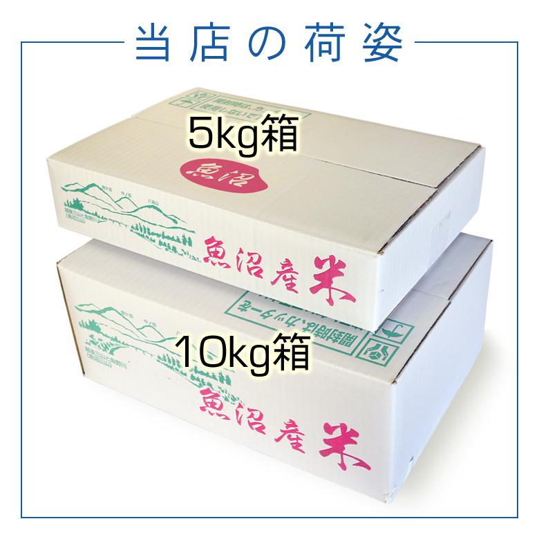 【令和8年産】お米マイスター厳選！魚沼産コシヒカリ10kg(５kg×２)  2026年9月下旬頃より発送開始