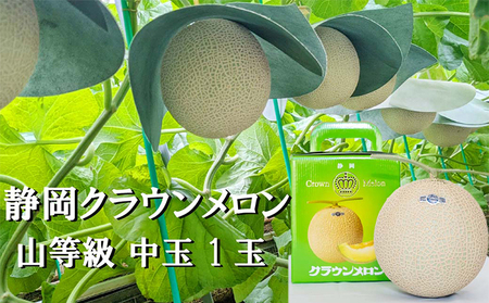 メロン クラウン 上 中玉 1玉入り フルーツ 果物 メロン