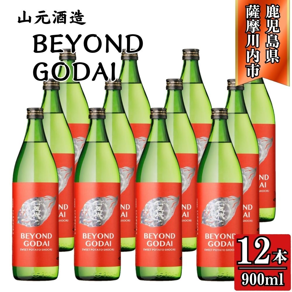 【ふるさと納税】BEYOND GODAI ビヨンドゴダイ 芋焼酎 25度 900ml×12本 山元酒造 GSR-801 焼酎 本格焼酎 芋焼酎 本格芋焼酎 五代 BEYOND GODAI ビヨンドゴダイ 酒 アルコール フルーティー ギフト 贈り物 鹿児島県 薩摩川内市 送料無料
