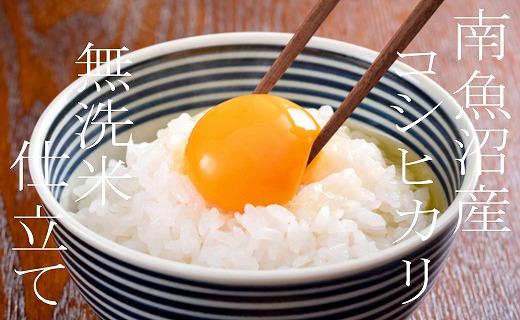 【令和7年産】【定期配送 無洗米5Kg×全12回】吟精  南魚沼産コシヒカリ【2025年10月上旬より順次発送予定】