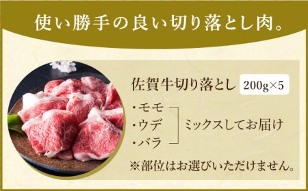 【便利な小分け】佐賀牛 切り落とし 1kg (200g×5パック)【肉の三栄】黒毛和牛 モモ ウデ バラ[HAA079] 佐賀牛 牛肉 黒毛和牛 佐賀牛 牛肉 すき焼き 佐賀牛 牛肉 切り落とし 佐賀