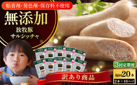 【全3回定期便】【訳あり】【結着剤・発色剤・保存料不使用】 放牧豚 サルシッチャ 2本x10セット（90g/パック） 訳あり ソーセージ ウインナー 無塩せき 冷凍配送 セット 詰め合わせ 北海道 [AXBA075]