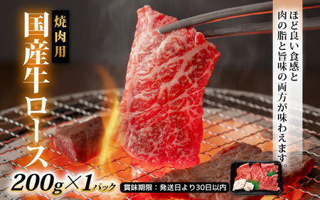 国産 お楽しみ 焼肉セット 合計1.4kg以上【牛肉ロース 味付け肉 牛ホルモン 豚肉 鶏肉 小分け 便利 BBQセット】 [e03-b004]