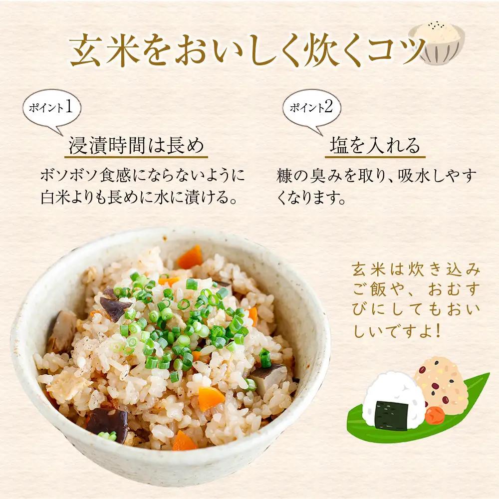 【令和8年産】定期便・隔月６回  富山県産こしひかり 育（はぐくみ）玄米３０kg《南砺の逸品》