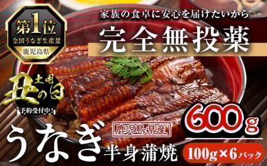 ＜丑の日先行予約受付中！＞鹿児島県産うなぎ半身カットセット (100g×6パック、タレ・山椒付き) 鰻 かばやき 冷凍【西日本養鰻】A586-U