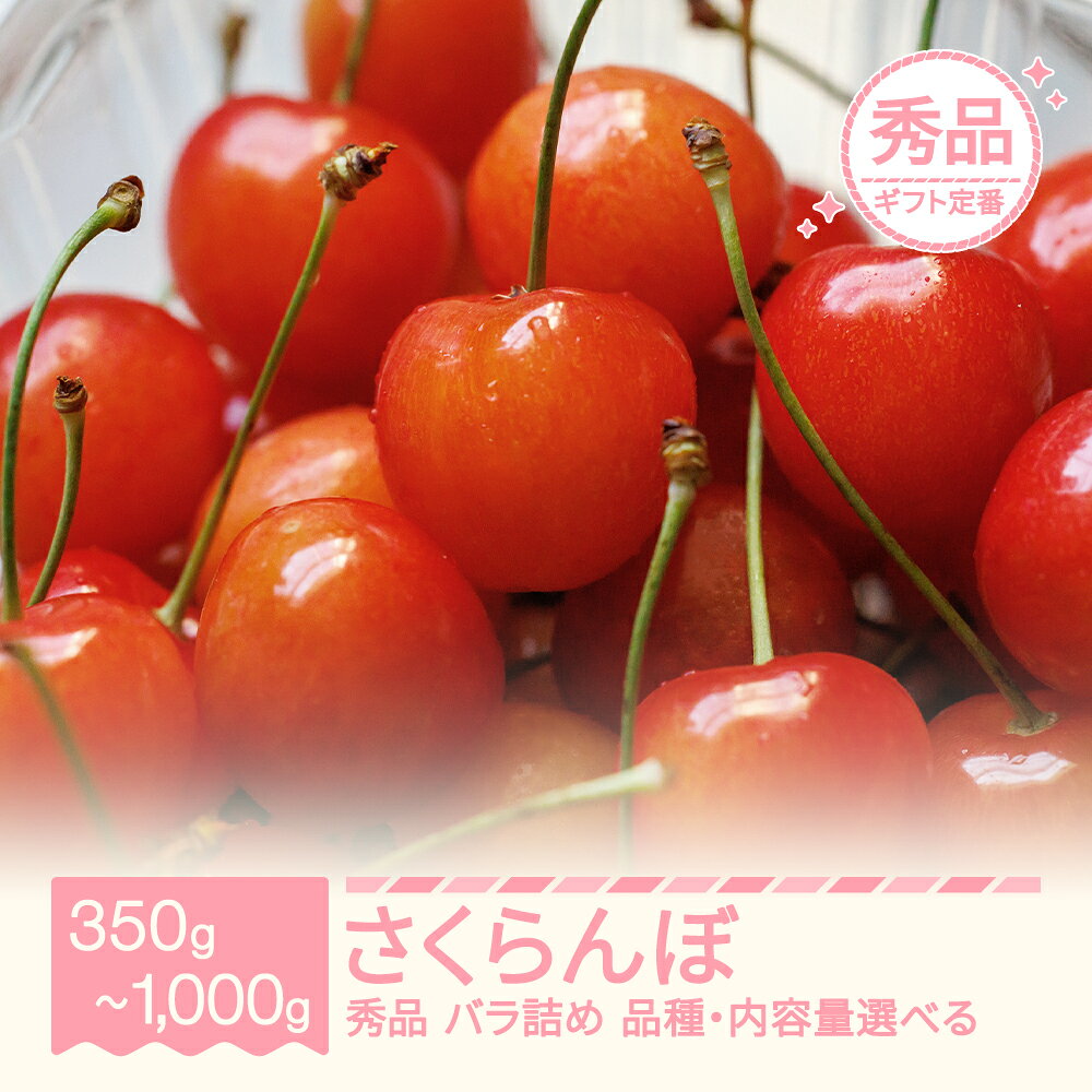 【ふるさと納税】【先行予約】 さくらんぼ 秀品 L玉 品種・内容量選べる バラ詰め 佐藤錦 紅秀峰 紅王 令和9年産 2027年産