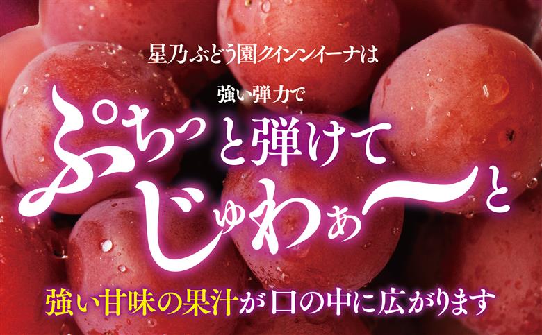 【三つ星】プレミアム星乃クインニーナ 数量限定 1房(700g)【配送不可地域：離島・北海道・沖縄県】