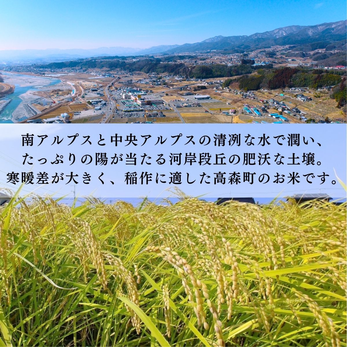 2025年産【南信州高森産】コシヒカリ玄米30kg 長野県 信州 米 コメ 農事組合法人フクロウ