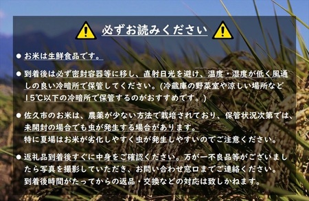 【令和7年産・玄米5kg×定期便6カ月】特別栽培米 市川さんのこしひかり  （2025年11月出荷開始予定）先行予約 新米こしひかり 信州 こしひかり コシヒカリ 長野県 佐久市