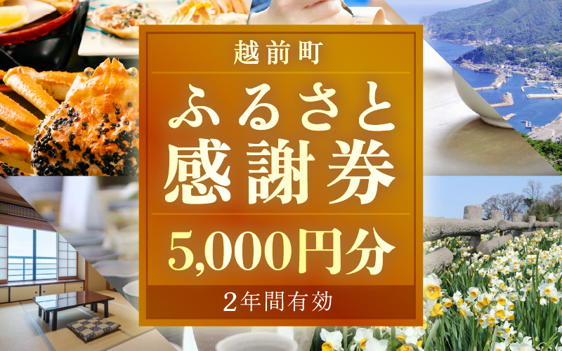 
                  [e05-a001] 越前町ふるさと感謝券（5,000円分）【宿泊 レジャー アウトドア BBQ 体験型 宿泊券 福井県】
                