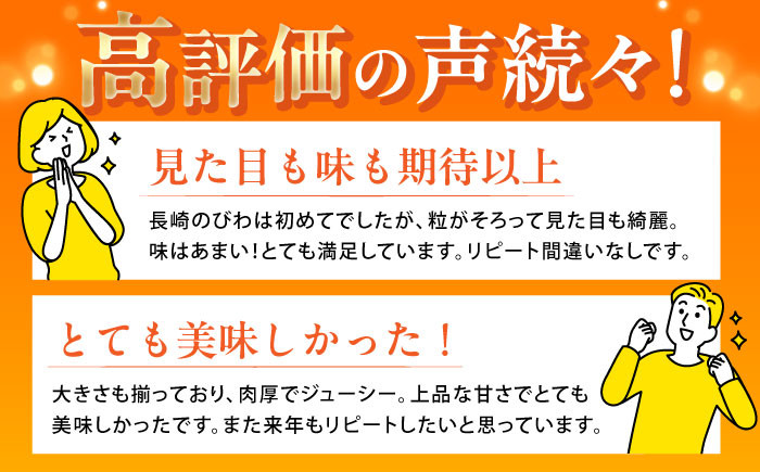 ビワ 枇杷 果物 フルーツ びわ 長崎 特産 数量限定