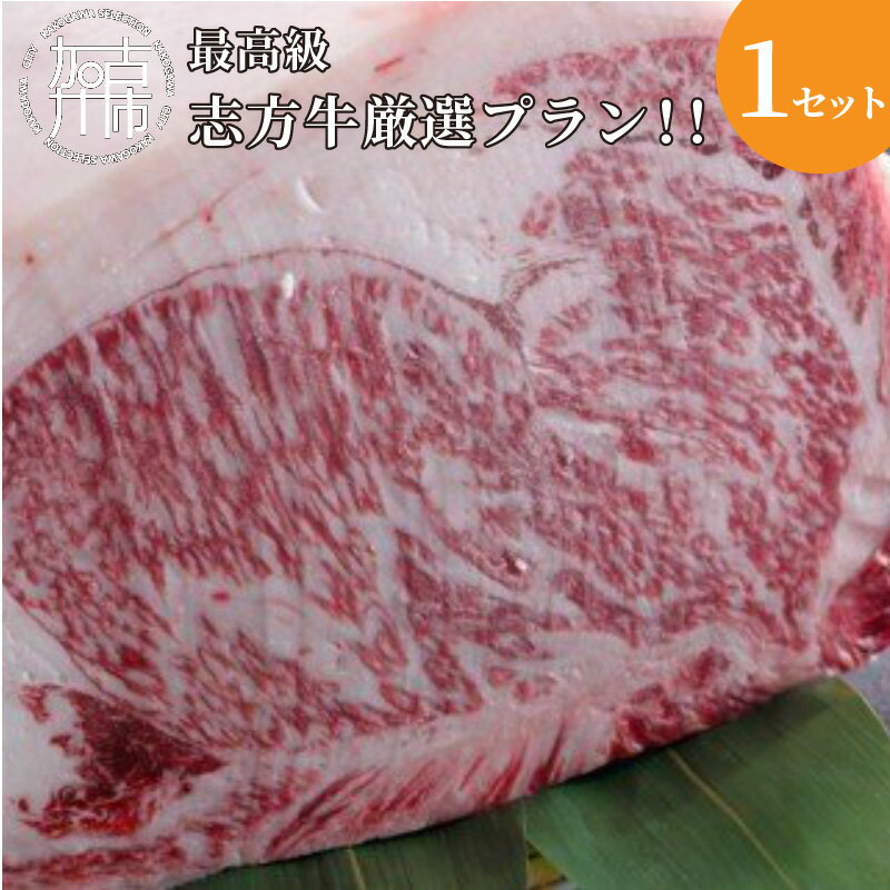 【ふるさと納税】【レビューキャンペーン】★☆贅沢なお肉を心ゆくまで☆★最高級志方牛厳選プラン！！ 《牛肉 志方牛 志方亭 焼肉 バーベキュー BBQ 和牛 》