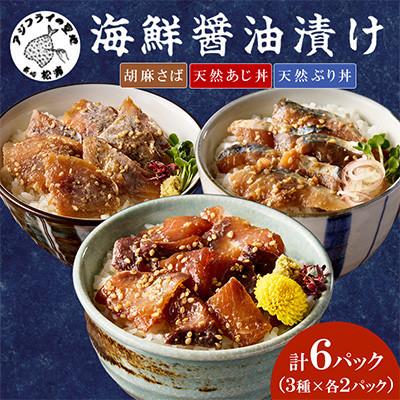 ふるさと納税 松浦市 【流水解凍だけの簡単調理】海の幸　海鮮醤油漬けセット  各2パック