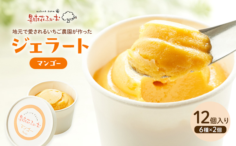 ジェラート マンゴー 12個 アイス アイスクリーム スイーツ お菓子 菓子 おやつ 兵庫県 加西市 