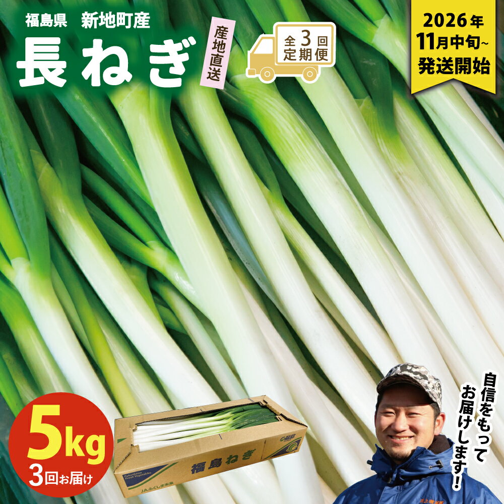 【ふるさと納税】＜先行予約＞【全3回定期便】新地町産 長ネギ 約5kg 1箱 | 野菜 やさい 食品 人気 おすすめ 送料無料 ねぎ ネギ 葱 長ねぎ お取り寄せ 福島県 新地町 白ねぎ 鍋