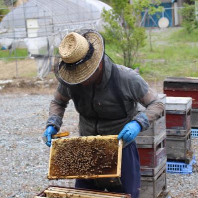 ふるさと納税 三春町 三春町産　力男のはちみつ【大瓶小瓶詰め合わせ】 |  | 03