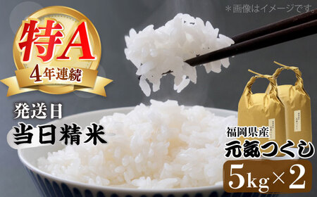 米 【特A】「元気つくし」 5kg×2袋 [10kg] [白米] [ABDF030] 米 白米 精米 ご飯 ごはん こめ コメ 