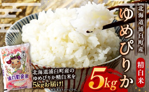 〈令和7年産〉浦臼産 ゆめぴりか 精白米 5kg×1袋 【2026年1月下旬-8月下旬迄順次発送予定】 米 お米 ブランド米 北海道産 北海道 浦臼町