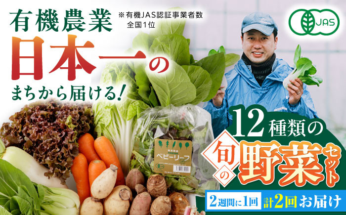 
            【全2回隔週定期便】有機野菜 オーガニック 12種セット 野菜 有機JAS認定 詰め合わせ オーガニック野菜 熊本県産 山都町産 産地直送 熊本直送 【株式会社 肥後やまと】[YAF013] 
          