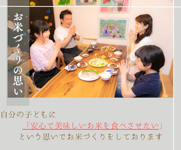 【新米予約】 定期便 コシヒカリ きぬむすめ 食べ比べ 白米 5kg × 4ヶ月   ( 令和6年産 先行予約 新米 ｺｼﾋｶﾘ ｺｼﾋｶﾘ ｺｼﾋｶﾘ ｺｼﾋｶﾘ ｺｼﾋｶﾘ ｺｼﾋｶﾘ ｺｼﾋｶﾘ