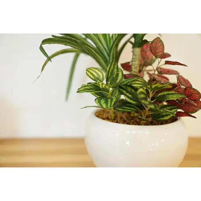 人工観葉植物　ユッカ寄せ植えジャングルポット