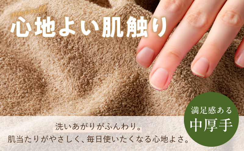 コンパクトバスタオル 6枚 カプチーノ【速乾 中厚 ロングヘアにも最適 泉州タオル 国内製造 国産 吸水 普段使い シンプル 日用品 家族 ファミリー】 099H3812