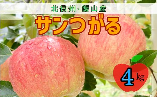 【先行予約】サンつがる【約4ｋｇ(12〜18玉)】(7-A19-2)