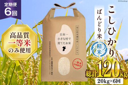 【6ヶ月定期便】【一等米100％】ばんどり米（コシヒカリ）精米 20kg（5kg×4袋） [農事組合法人東和 富山県 舟橋村 57050228]お米 白米 美味しい こしひかり 富山 農家