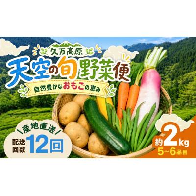 ふるさと納税 久万高原町 【毎月定期便】久万高原 天空の旬野菜全12回