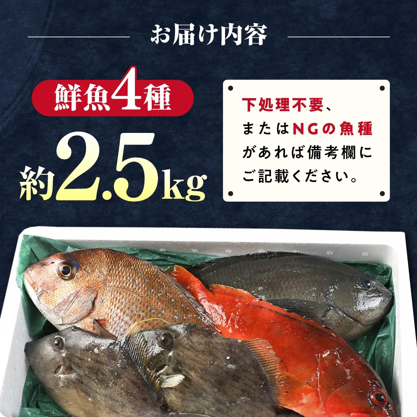 【期間限定！】対馬産 鮮魚 詰め合わせ 4種前後 2.5kg 新鮮 天然 直送 セット [WAH021]