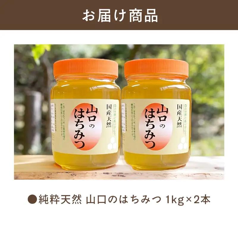 純粋天然 山口のはちみつ1kg 2本