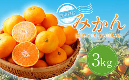 熊本県産みかん BUSAIKU MIKAN 3kg 【2026年10月上旬発送開始】 フルーツ 果物 くだもの みかん 蜜柑 柑橘
